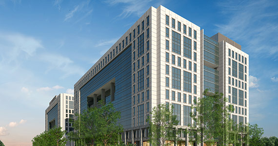 Sattva Knowledge Point